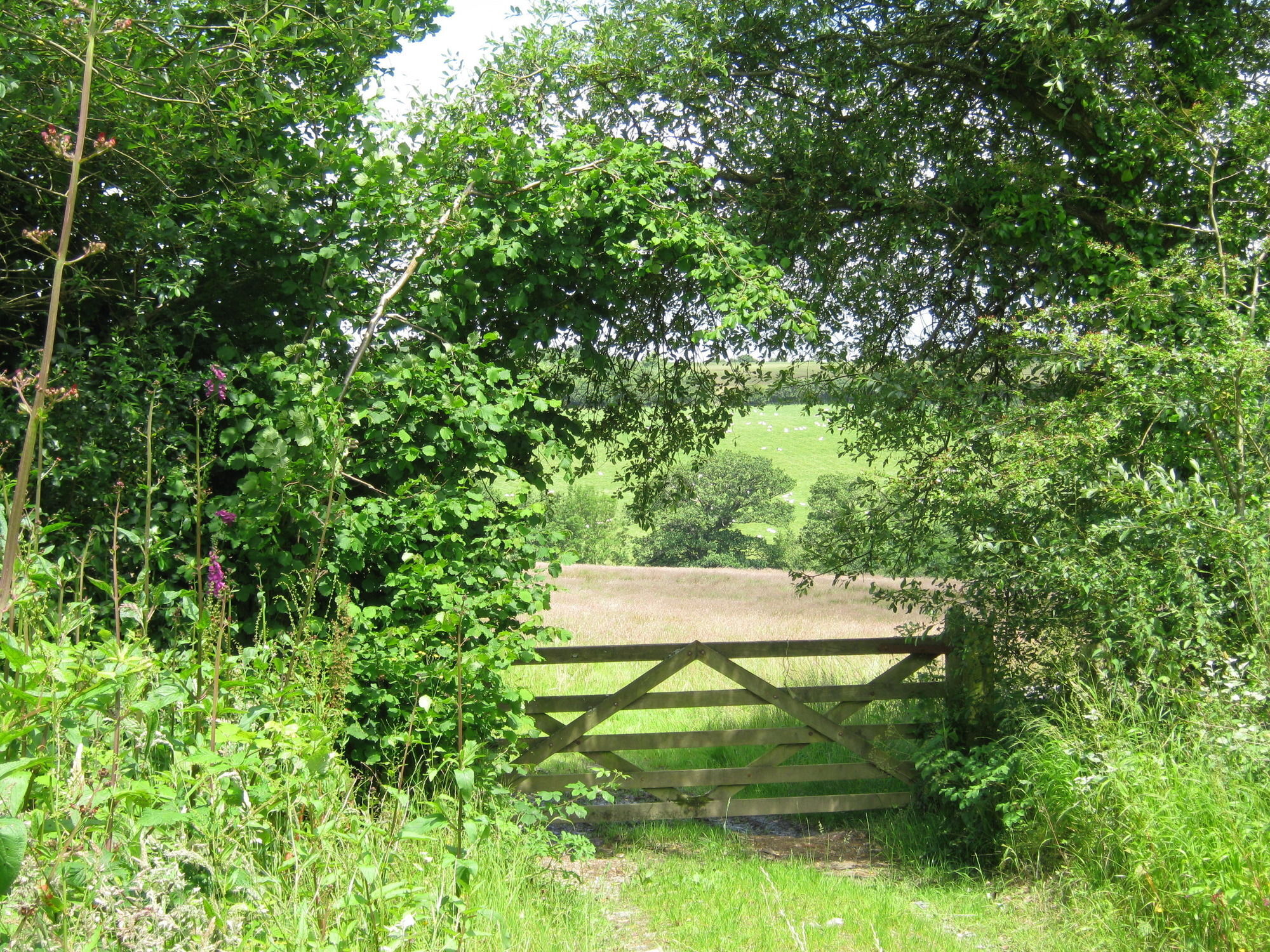 Hollamoor Farm Barnstaple Exterior foto