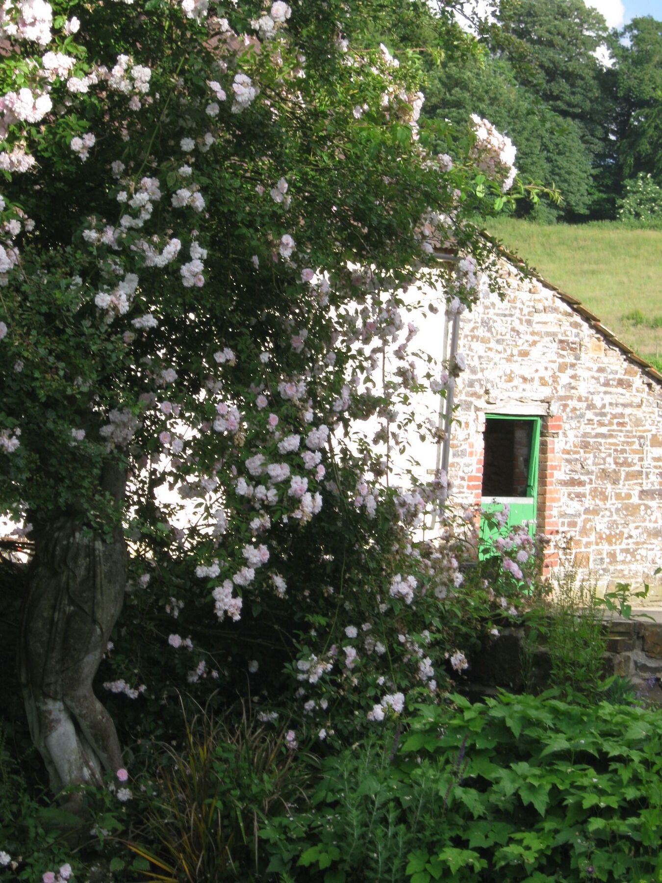 Hollamoor Farm Barnstaple Exterior foto